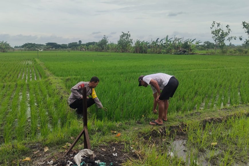 Dukung Ketahanan Pangan Nasional, Bhabinkamtibmas Polsek Balerejo Tinjau Lahan Pertanian Warga