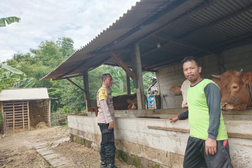 Bhabinkamtibmas Desa Banaran Sambangi Peternak, Sosialisasi Pencegahan Penyakit Mulut dan Kuku (PMK)